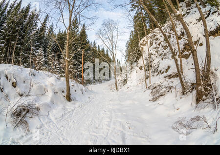 Oslo is surrounded by huge natural recreational area, accessible for free and perfect for all kind of winter freshair activity, eg. cross-country skii Stock Photo