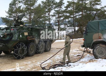 A Polish Soldier decontaminates a Stryker armored combat vehicle from 82nd Engineer Battalion, 2nd Armored Brigade Combat Team, 1st Infantry Division, at the vehicle decontamination site as the unit practices chemical, biological, radiological, nuclear and explosive response operations in preparation for Allied Spirit VIII Jan. 22, 2018 in Hohenfels, Germany. Allied Spirit VIII is designed to provide multinational interoperability training at brigade and battalion levels to enhance U.S. and NATO effectiveness. Stock Photo