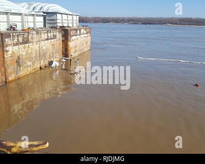 Coast Guard Sector Lower Mississippi River and local agencies are responding to a sunken vessel discharging oil near mile marker 823 on the lower Mississippi River near Blytheville, Arkansas, January 24, 2017. Sector Lower Mississippi River watchstanders were notified by Terral River Service of the uninspected towing vessel Virginia Renee sunk at its mooring at Hickman Landing. Stock Photo