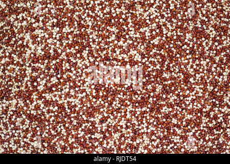 background of brown and white organic quinoa grains Stock Photo