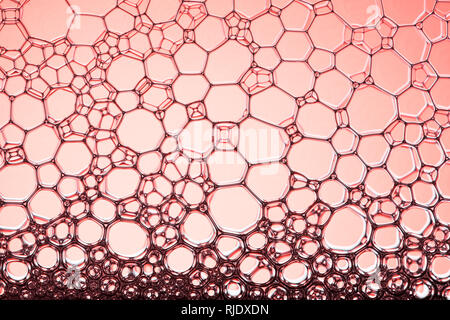 Geometric cells formed by soap bubbles and water, for background or texture Stock Photo