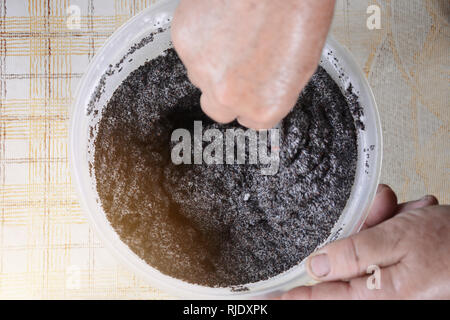 The chef mixes egg whites with poppy seeds to prepare a cake 2019 Stock Photo