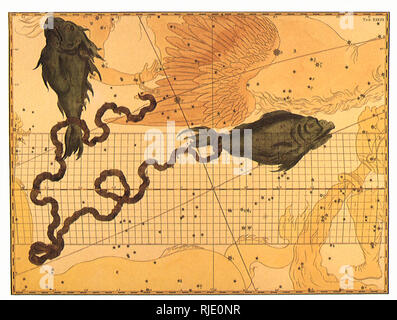 Pisces. Stock Photo