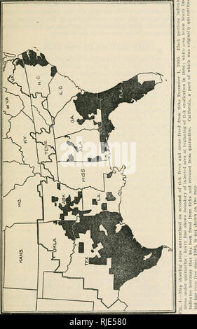 . Cattle-fever ticks and methods of eradication. Cattle tick -- Control; Cattle -- Parasites; Cattle dip. Catlle-Fever Ticks.. Please note that these images are extracted from scanned page images that may have been digitally enhanced for readability - coloration and appearance of these illustrations may not perfectly resemble the original work.. Ellenberger, W. P. (William Penn), 1871-1931; Chapin, Robert M. (Robert MacFarlane), 1877-1940. Washington, D. C. : U. S. Dept. of Agriculture Stock Photo