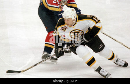 Bruins Jeff Lazaro shoots on St Louis Blues goalie Curtis Joesph during  game action at the Boston Garden in BostonMa USA 1990 photo by bill belknap  Stock Photo - Alamy