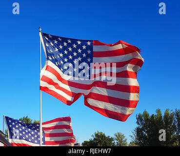 on Thanksgiving Day the flag of the United States of America flies with the wind of freedom in the blue sky and defends all American citizens Stock Photo