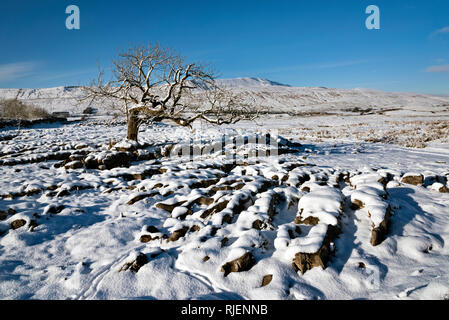 Whernside peak (on horizon) seen from snow-covered limestone pavement to the south, Yorkshire Dales National Park.