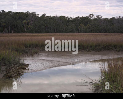 Edisto Island State Park, South Carolina. Tidal salt marsh. Stock Photo