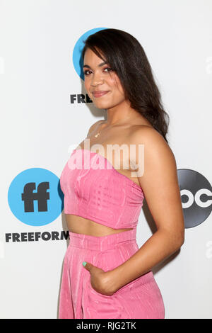 LOS ANGELES - FEB 5: Barrett Doss at the Disney ABC Television Winter