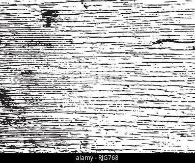 Distressed grainy wood overlay texture. Grunge wooden planks messy background. Dirty rustic empty cover template. Rural fence wall backdrop. Weathered Stock Vector
