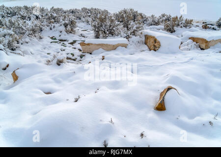 Rocky terrain and shrubbery covered in frosty snow Stock Photo