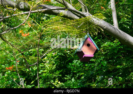 Wooden bird house hanging on a tree  branch with green foliage background Stock Photo