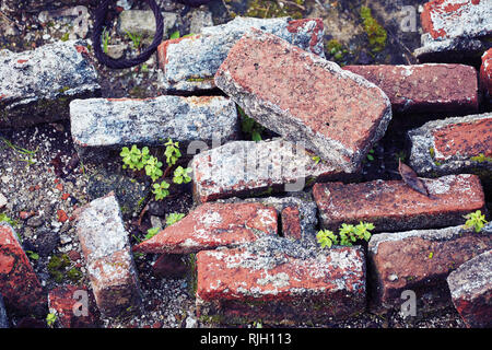 Close up pile of old rubble red bricks from the ruins of a demolished building. Top down view. Stock Photo