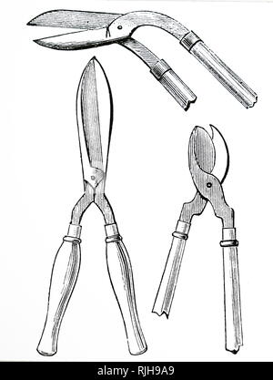 An engraving depicting various types of shears: Ordinary, Right-angled and Parrot-nosed shears. Dated 19th century Stock Photo