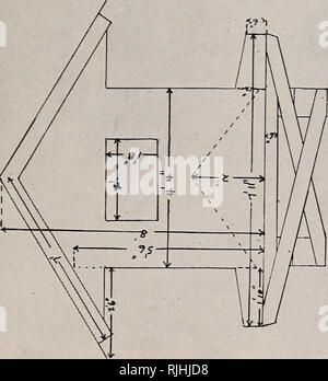 Beef Production Cattle The Self Feeder 153 I I L Re T I I