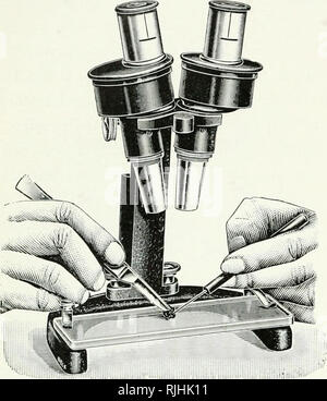 Beck microscopes. Microscopes. No. 3760. Binomax with rack and pinion  focussing motion on horseshoe stand, as illustrated. This stand is provided  with a glass plate upon which objects can be placed