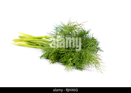 Fresh and healthy green dill on white background Stock Photo