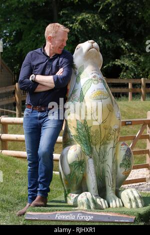 Adam Henson launches the 2018 Cotswold AONB Hare Trail, at his Cotswold Farm Park, near Kineton, Gloucestershire, where he has Fenella Forage Hare by  Stock Photo