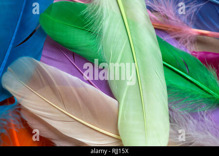 Pile of the colorful artificial feathers Stock Photo