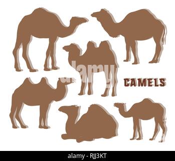 Camel Silhouettes set. Vector illustration EPS 10 Stock Vector