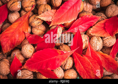 Red leafs on top of walnuts Stock Photo