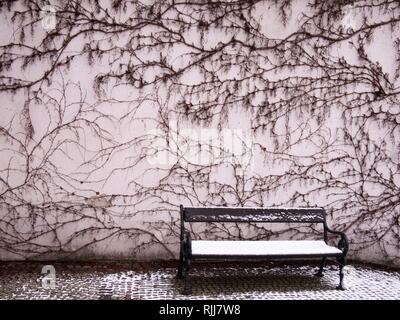 A Bench Covered in Snow in Front of a Building with a Facade Covered in Dried Up Vine Branches Stock Photo