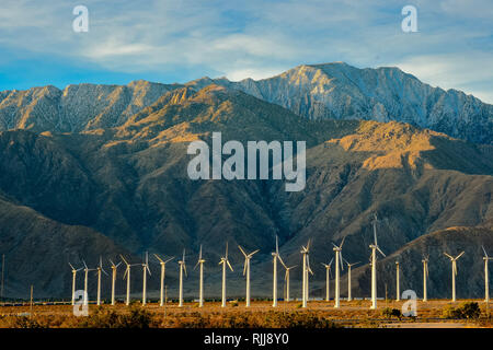 Large wind farm in desert area Stock Photo
