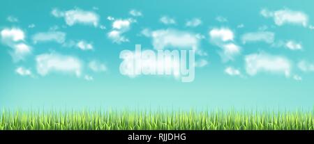 Green meadow and blue sky Vector realistic banner template Stock Vector
