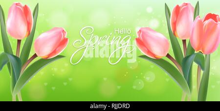 Tulip flowers delicate bouquet Vector realistic. Spring summer season card 3d illustration. Bokeh green background Stock Vector