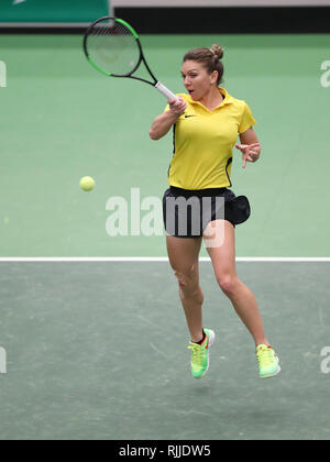 Romanian tennis player Simona Halep trains during a training session prior to the Fed Cup, World Group, 1st Round, match between Czech Republic and Ro Stock Photo