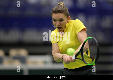 Romanian tennis player Simona Halep trains during a training session prior to the Fed Cup, World Group, 1st Round, match between Czech Republic and Ro Stock Photo