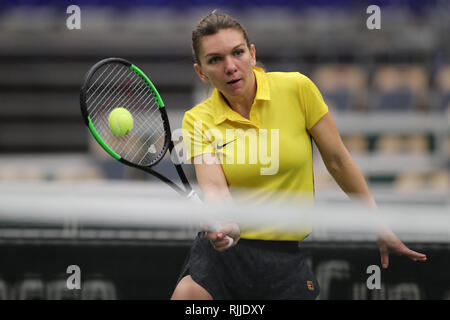 Romanian tennis player Simona Halep trains during a training session prior to the Fed Cup, World Group, 1st Round, match between Czech Republic and Ro Stock Photo