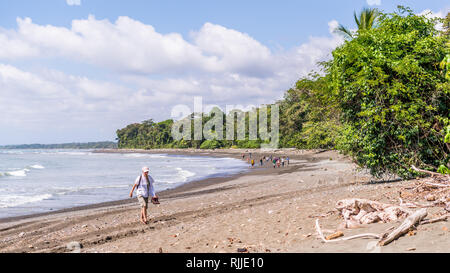 A photo of a tourist walking on a beautiful sandy beach on the background of tropical rain forest of the amazing Corcovado National Park in Costa Rica Stock Photo