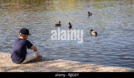 A boy reflecting on the edge of a pond while feeding the ducks. Stock Photo