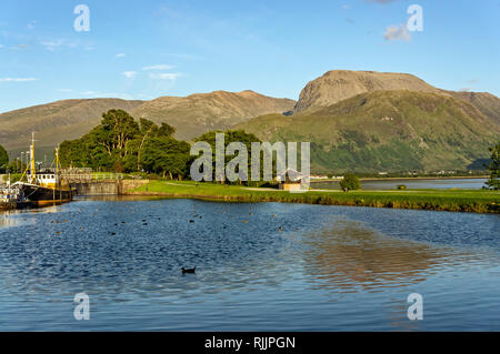 View of Scotland's highest mountain Ben Nevis from Corpach near Fort William Highland Scotland UK with ducks in Caledonian Canal basin Stock Photo