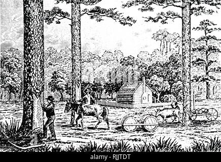 An engraving depicting a man hacking away a V-shaped piece of bark on the trunk of a pine tree to encourage it to exude the resin which was distilled to make turpentine. Dated 19th century Stock Photo