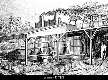 An engraving depicting the process of making turpentine: here dipping is in progress and gum is being collected from buckets on barked portions of pine trees. Dated 19th century Stock Photo