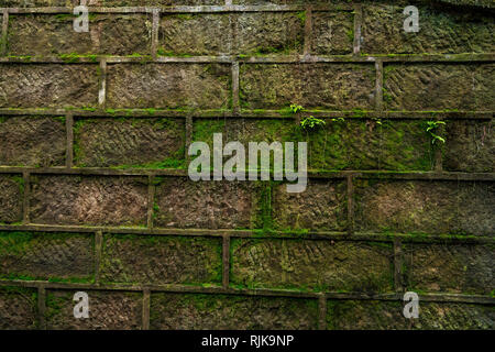 Mossy Wall Stock Photo