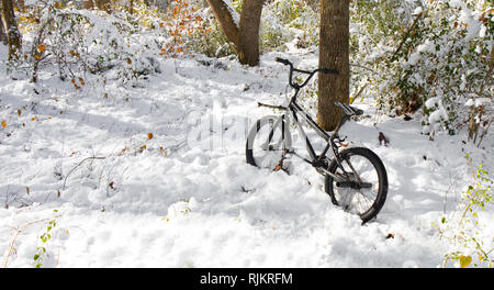 A child's bike abandoned in the snow by a tree with some colorful foliage. I Stock Photo