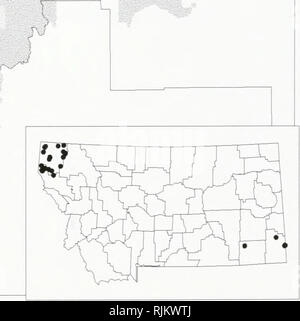 . Bat survey of the Kootenai National Forest, Montana : 1994 . Bats; Bats; Bats; Bats; Bats; Anabat bat detection systems; Bats; Bats; Long-eared myotis; Western small-footed myotis; Long-legged myotis; Big brown bat; Silver-haired bat; Hoary bat; Plecotus townsendii; Myotis yumanensis; Little brown bat; Myotis californicus; Mist netting; Mixed conifer forest. Myotis spp. -- Unidentified myotis Occurrences on or near the Kootenai National Forest, Montana 1 'V ? 1994 data &quot;^j • 1993 data ^ Pre-1993 data V Museum specimens. Species locations from the Montana Natural Heritage Program, Decemb Stock Photo