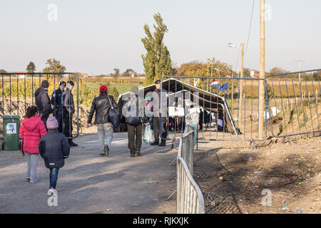 BERKASOVO, SERBIA - OCTOBER 17, 2015: Refugees walking towards the Croatian border crossing  on the Croatia Serbia border, between the cities of Bapsk Stock Photo