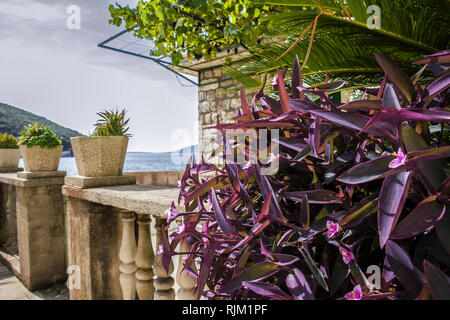 Terrace detail in the beautiful little hamlet of Rose, on Luštica Peninsula, Montenegro Stock Photo