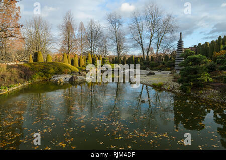 View of the Japanese garden at the Bonner Rheinaue, Bonn, Germany. Stock Photo