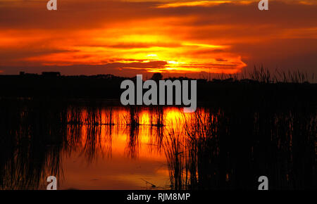 A fiery sunrise over a marsh in North Dakota. Stock Photo