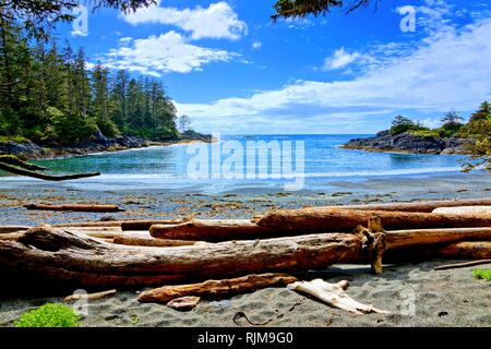 Blue water and skies along the coast of Pacific Rim National Park, Vancouver Island, BC, Canada Stock Photo