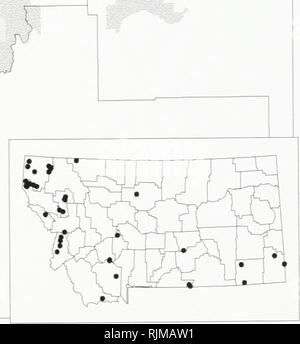 . Bat survey of the Kootenai National Forest, Montana : 1994 . Bats; Bats; Bats; Bats; Bats; Anabat bat detection systems; Bats; Bats; Long-eared myotis; Western small-footed myotis; Long-legged myotis; Big brown bat; Silver-haired bat; Hoary bat; Plecotus townsendii; Myotis yumanensis; Little brown bat; Myotis californicus; Mist netting; Mixed conifer forest. .^ v. ? 1994 data ) • 1993 data ^ Pre-1993 data &gt;tX Museum specimens. Species locations from the Montana Natural Heritage Program, December 02, 1995. Please note that these images are extracted from scanned page images that may have b Stock Photo