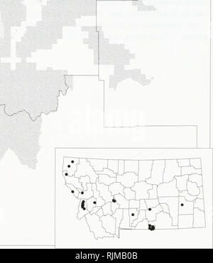 . Bat survey of the Kootenai National Forest, Montana : 1994 . Bats; Bats; Bats; Bats; Bats; Anabat bat detection systems; Bats; Bats; Long-eared myotis; Western small-footed myotis; Long-legged myotis; Big brown bat; Silver-haired bat; Hoary bat; Plecotus townsendii; Myotis yumanensis; Little brown bat; Myotis californicus; Mist netting; Mixed conifer forest. Myotis ciliolabrum -- Western Small-footed Myotis Occurrences on or near the Kootenai National Forest, Montana ^-^â /&quot;^ â¼ 1994 data , â¢ 1993 data ^ Pre-1993 data ^yT Museum specimens. Species locations from the Montana Natural Her Stock Photo