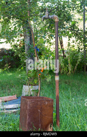 Outdoor water faucet, vintage, retro Stock Photo