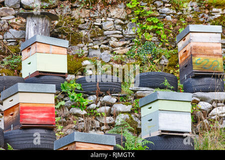 Beehives. Traditional colored wooden box. Muniellos, Asturias, Spain. Horizontal Stock Photo