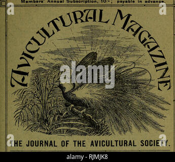 . The Avicultural magazine. Birds; Cage birds. JANUARY, 1904. NEW ...